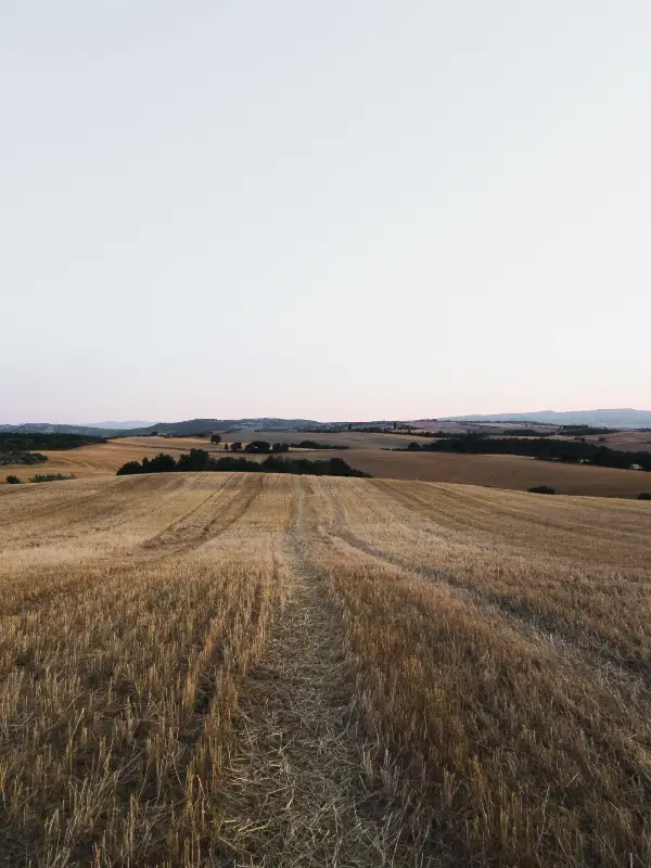 Great Plains Image - 3