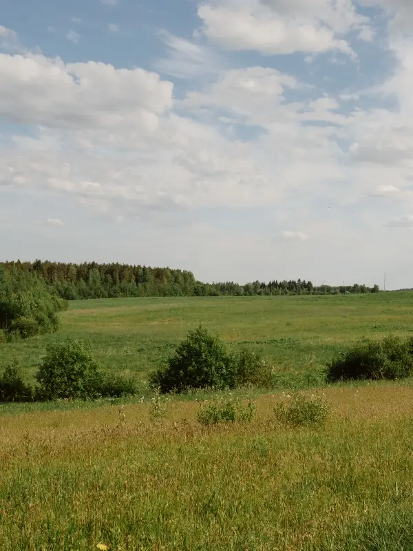 Great Plains Image - 5